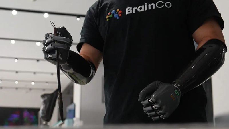 企业级搜索引擎数据库索引：构建高效检索的基石